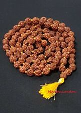 Rosário Rudraksha Mala Rudraksh Japa Mala 10 mm contas meditação hindu 108+1 contas comprar usado  Enviando para Brazil