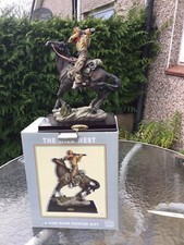 Wild west horse for sale  CHEPSTOW