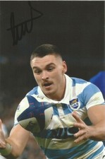 Argentina newcastle falcons for sale  UK