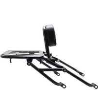 Passenger sissy bar for sale  Fort Worth