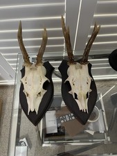 Lot vintage german for sale Lot vintage german for sale  NOTTINGHAM