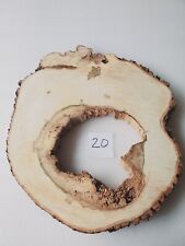 Int20 deko baumscheibe gebraucht kaufen  Meiningen