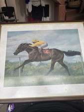Mtoto race horse for sale  FELIXSTOWE