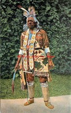 Native american indian for sale  USA