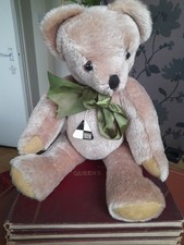 Handsome canterbury teddy for sale  SALFORD