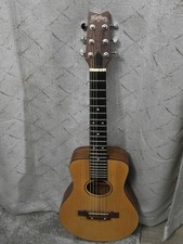 guitarra washburn comprar usado  Enviando para Brazil