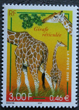 Timbre girafe réticulée d'occasion  Annecy
