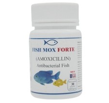 Fish aquarium aqua for sale  Naperville