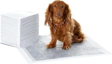 Basics carbon control for sale  STOKE-ON-TRENT
