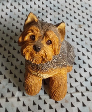 puppy terrier yorkshire for sale  Lakeport