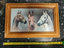 Three kings horses for sale  BIRMINGHAM