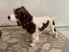 Goebel english springer for sale  Granville