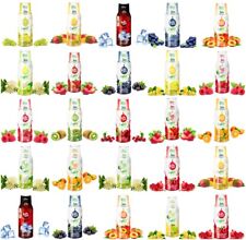 2erpack getränkesirup sirup gebraucht kaufen  Dortmund