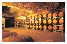 Saumur cave vieillissement d'occasion  France