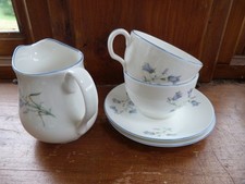 Bluebell cup saucer for sale  LLANFAIRPWLLGWYNGYLL