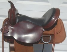Circle high horse for sale  North Tonawanda