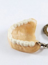 Keychain dentier humor d'occasion  Expédié en Belgium
