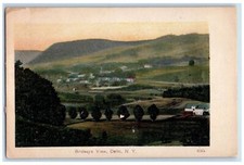 Cartão postal c1905 Birdseye vista aérea Mountain Town House Road Delhi Nova York PCK comprar usado  Enviando para Brazil