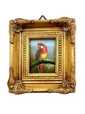 Painting red macaw for sale  Broken Arrow