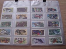 Full sets brooke for sale  STUDLEY