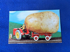 Vintage postcard farming for sale  Sebastopol