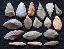 Mixed sahara mesolithic for sale  Fairfax