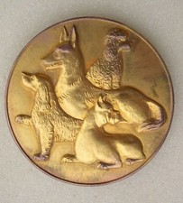 Medaille exposition canine d'occasion  Plombières-lès-Dijon