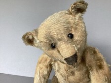 Antique steiff teddy for sale  Fayetteville