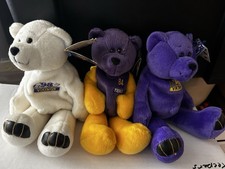 Minnesota vikings randy for sale  Tempe