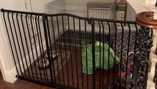 Dog gate baby for sale  CHORLEY