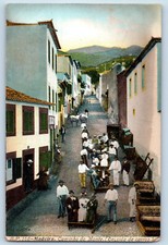Cartão postal Madeira Portugal Mount Path carro descida c1910 antigo não publicado comprar usado Cartão postal Madeira Portugal Mount Path carro descida c1910 antigo não publicado comprar usado  Enviando para Brazil