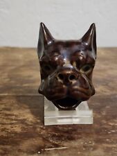 Tobacco dog head for sale  Conway