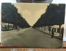Cartolina agrigento viale usato  Reggio Calabria