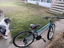 Schwinn sidewinder bike for sale  Glendora