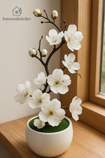 Mini bonsai tree for sale  PINNER