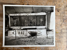 1931 great depression for sale  CHESTER