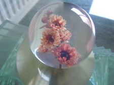 lucite paperweight for sale  BATTLE