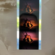 Titanic VHS Video Collectors Box Edition com célula de filme 35mm e 8 cartões de colecionador comprar usado  Enviando para Brazil