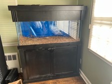 55 gallon aquarium stand for sale 55 gallon aquarium stand for sale Bronx