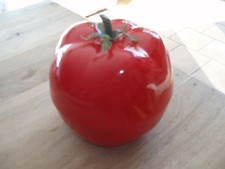 Pot glaçons tomate d'occasion  Witry-lès-Reims