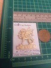 Wessex regiment regimental for sale  ST. IVES
