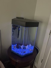 Gallon tall hexagon for sale  Wilson