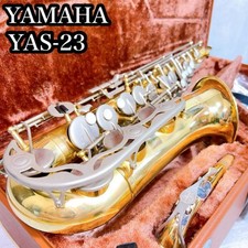 Estojo rígido para instrumento de latão para saxofone alto Yamaha Yas-23 comprar usado  Enviando para Brazil