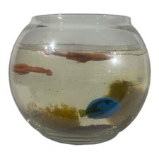 Art glass fish for sale  Butte