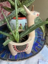 Aloe vera llama for sale  Surprise