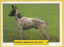 Dogs spanish trading for sale  WREXHAM