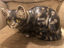 Winstanley large tabby for sale  NORTHALLERTON