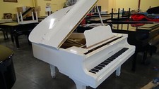 Yamaha snow white for sale  USA