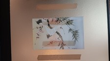hung pictures for sale hung pictures for sale Spring Grove