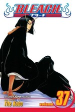 Bleach vol. 37 for sale  North Smithfield